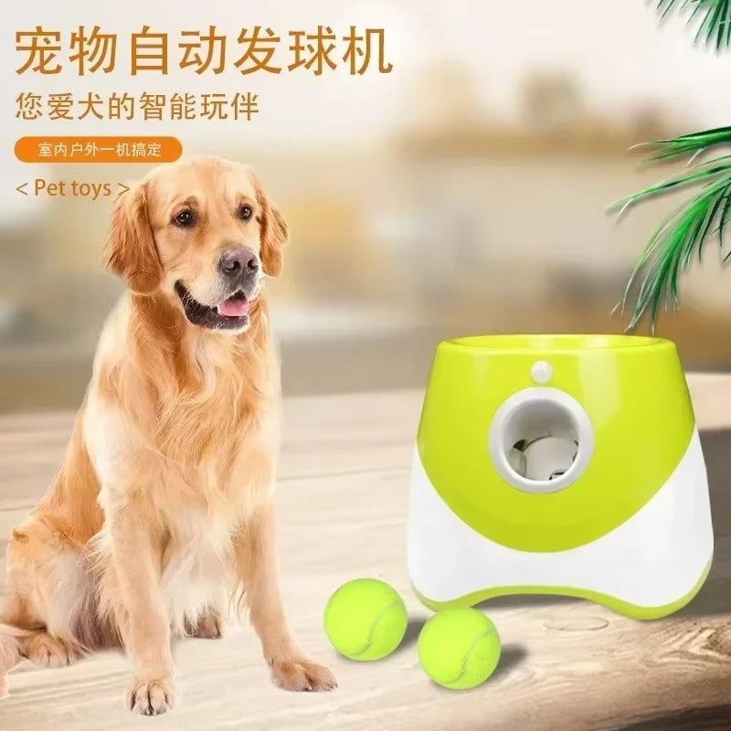 Dogs Ball Launcher