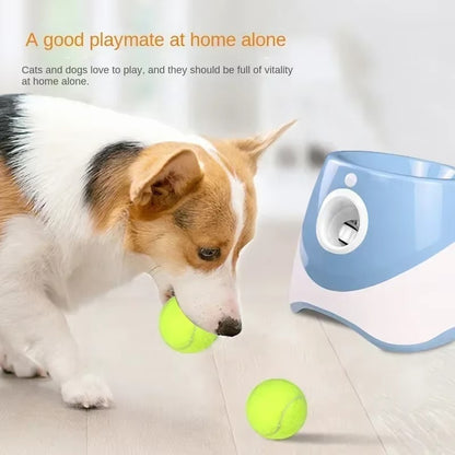 Dogs Ball Launcher