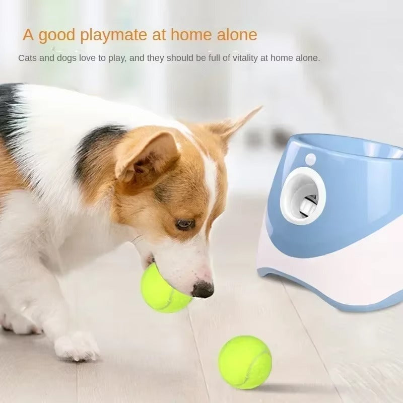 Dogs Ball Launcher